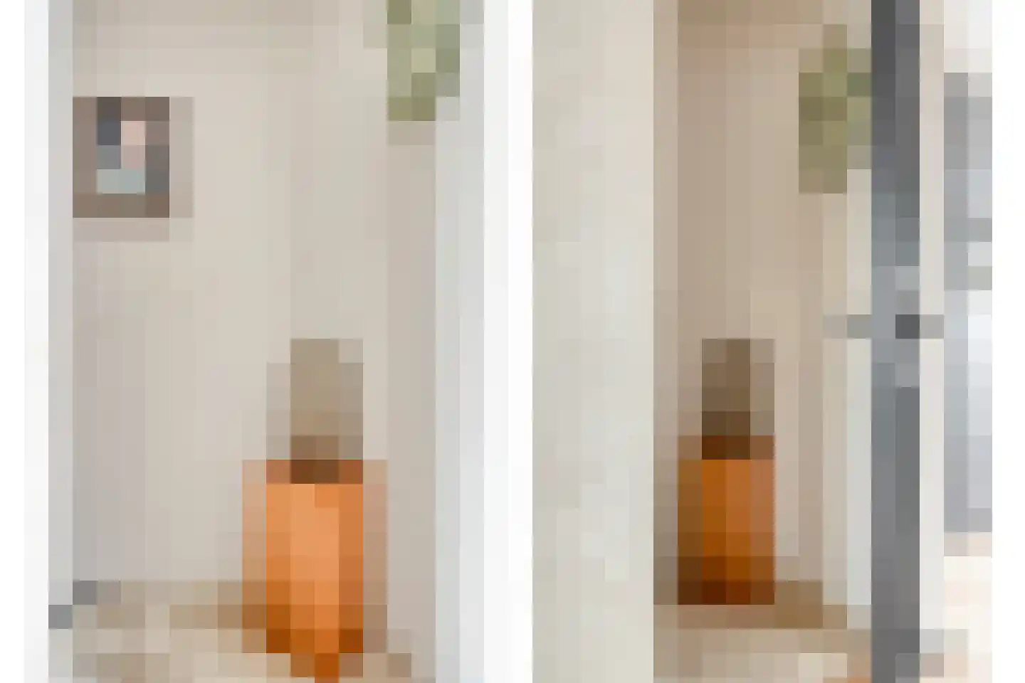 Zilverdistel 13 Rotterdam thumbnail 9