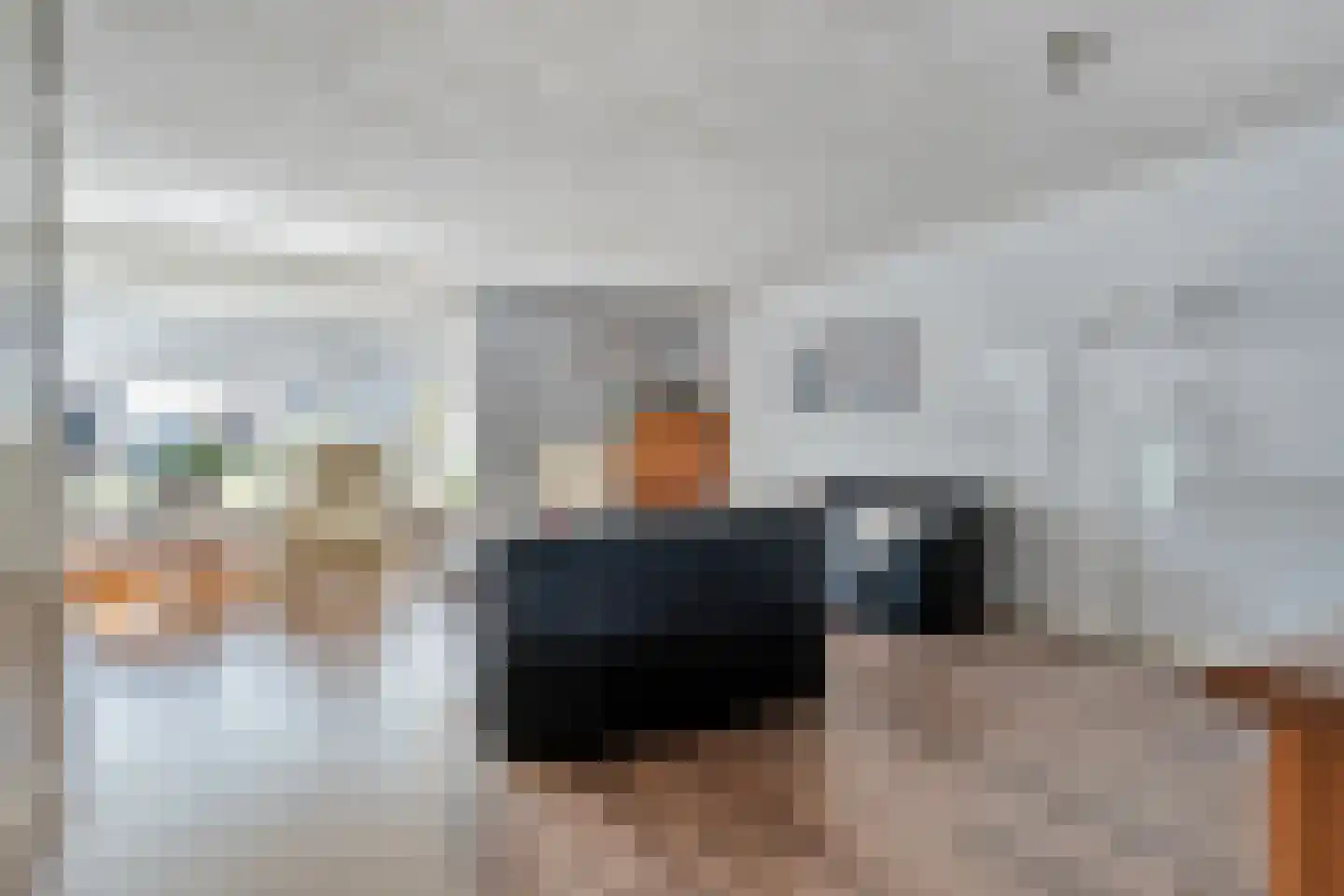 Zilverdistel 18 Hardenberg thumbnail 10