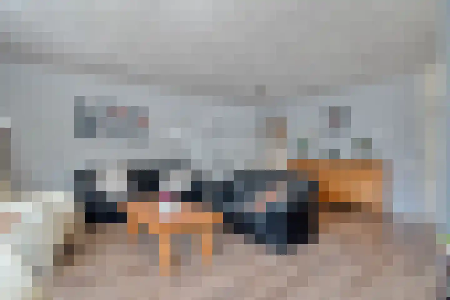 Zilverdistel 18 Hardenberg thumbnail 12