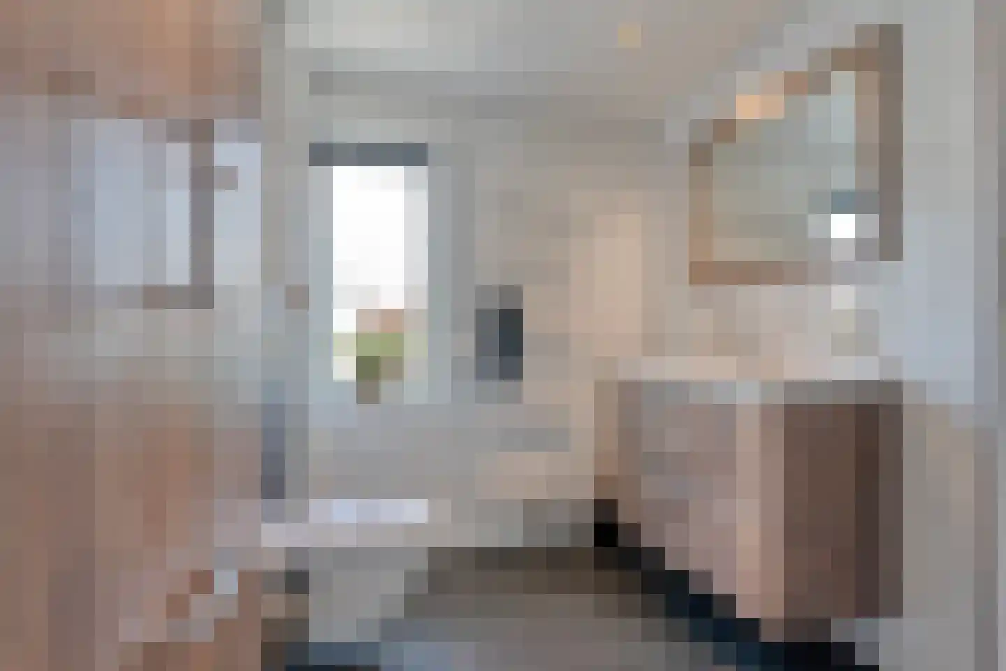 Zilverdistel 18 Hardenberg thumbnail 31