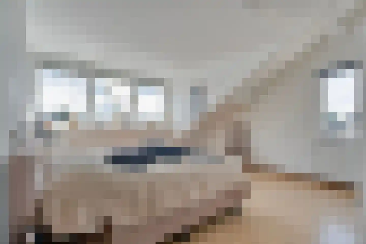 Zilverdistel 18 Hardenberg thumbnail 35