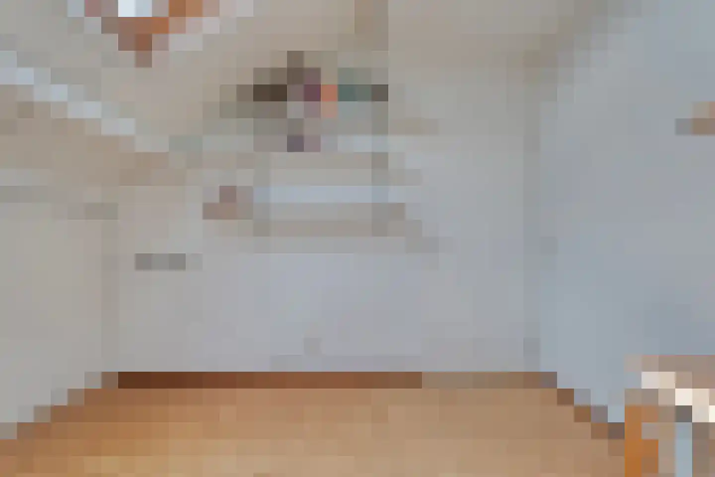Zilverdistel 18 Hardenberg thumbnail 38