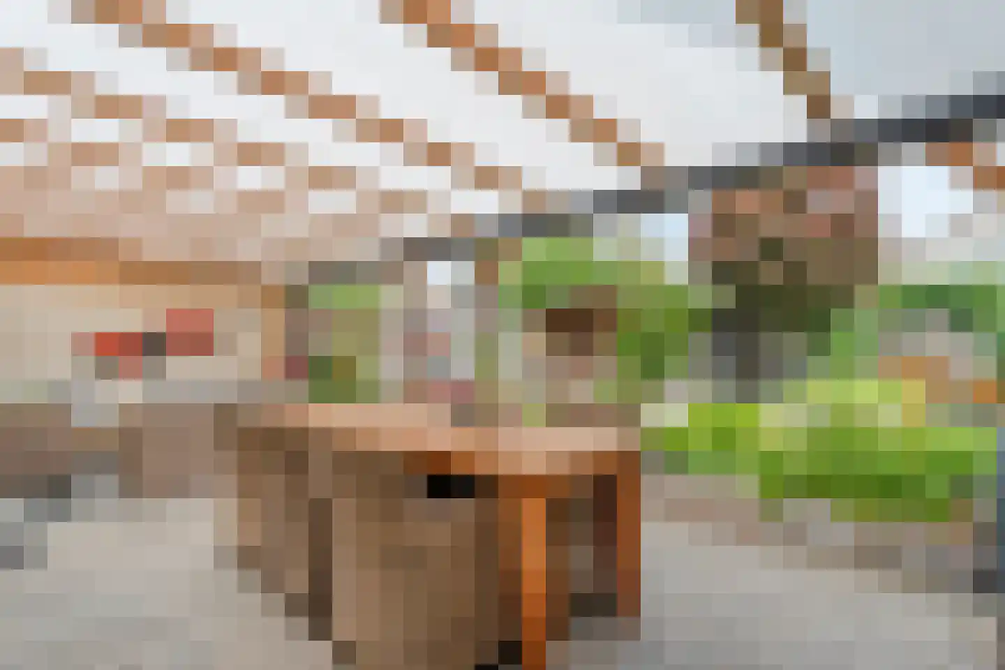 Zilverdistel 18 Hardenberg thumbnail 41