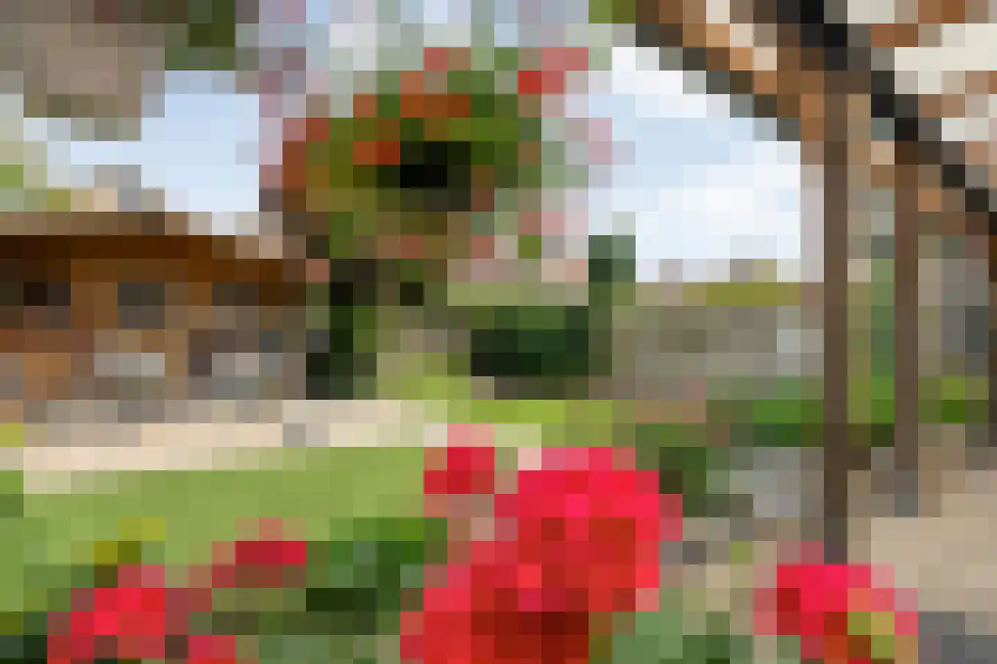 Zilverdistel 18 Hardenberg thumbnail 43