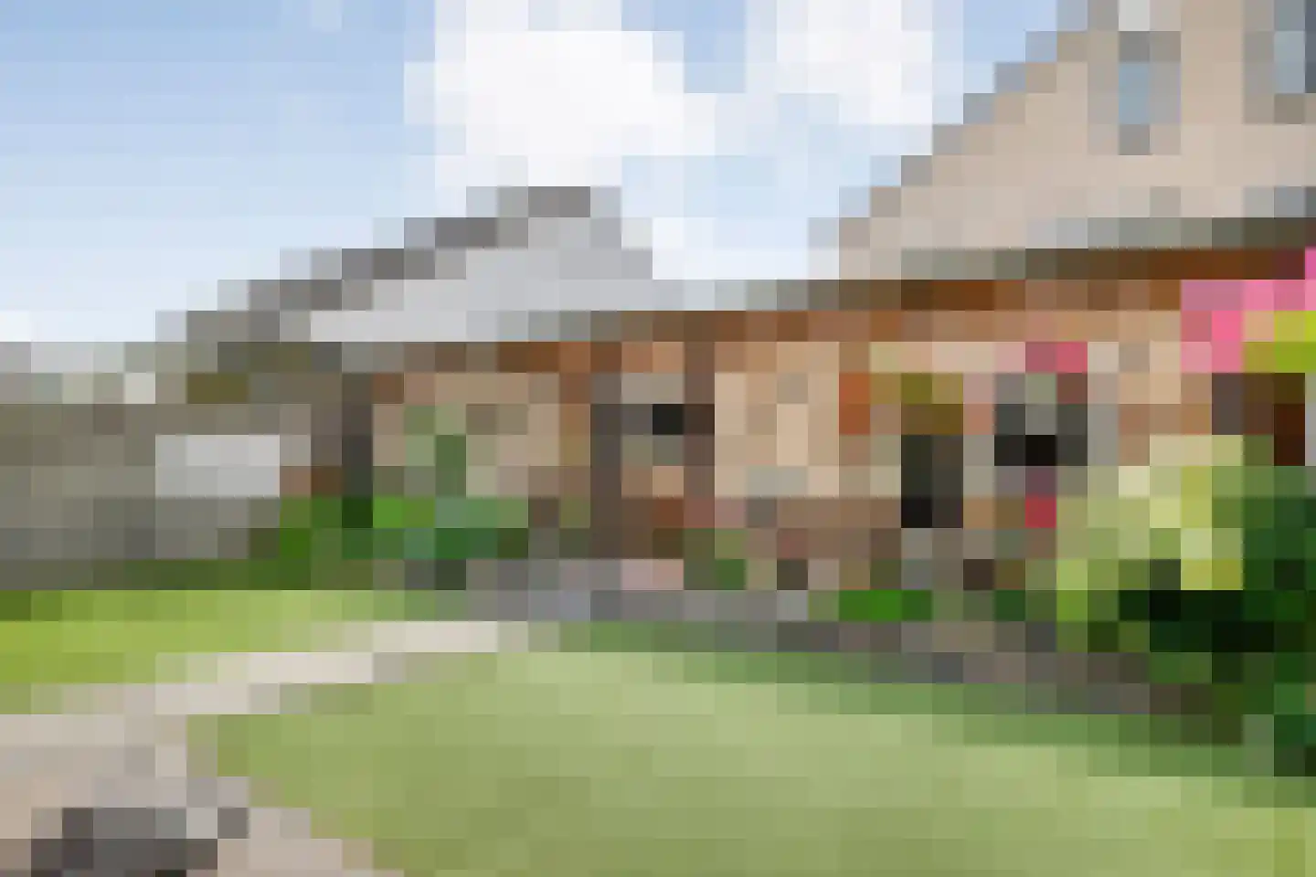 Zilverdistel 18 Hardenberg thumbnail 46