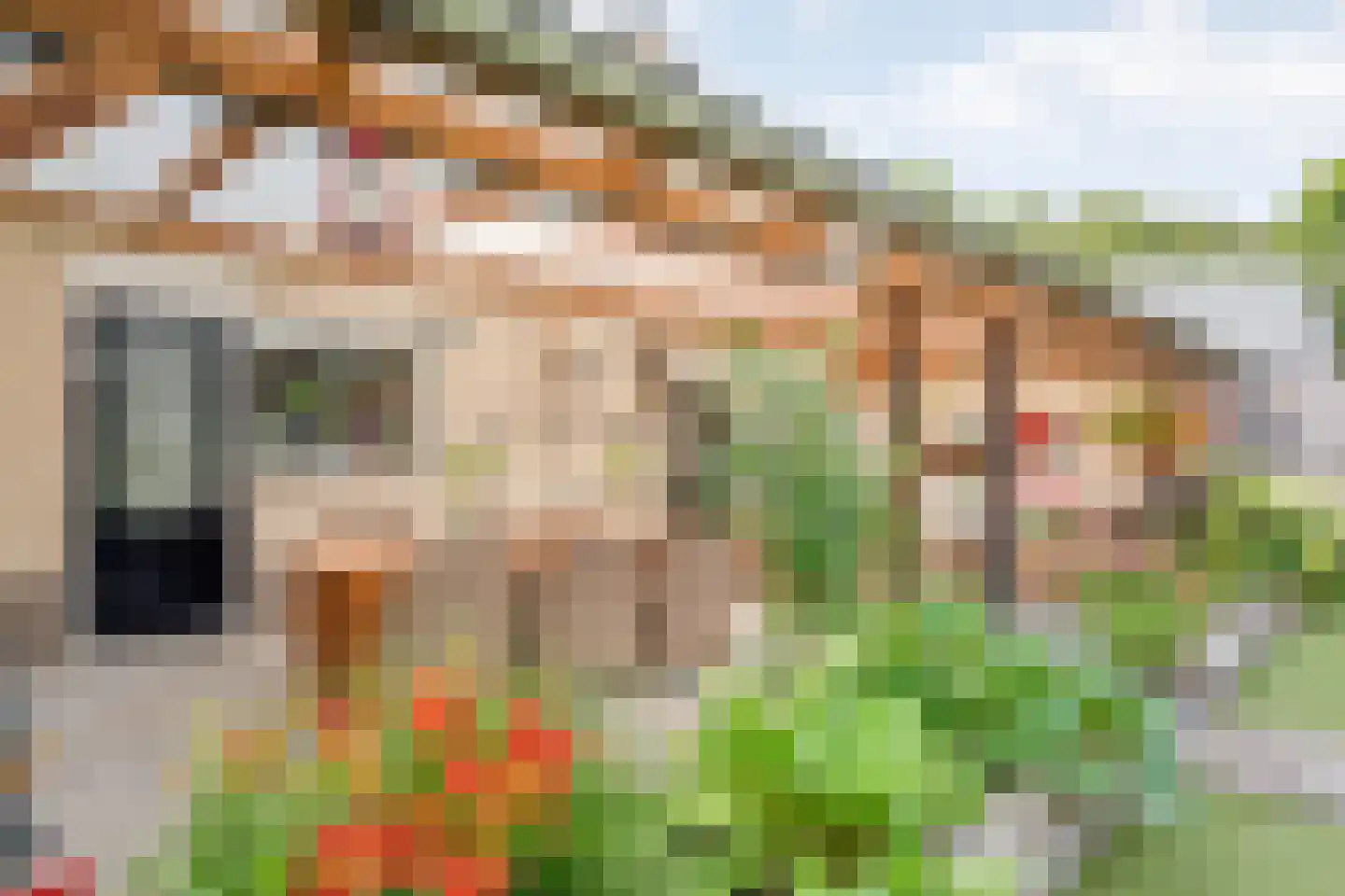 Zilverdistel 18 Hardenberg thumbnail 47