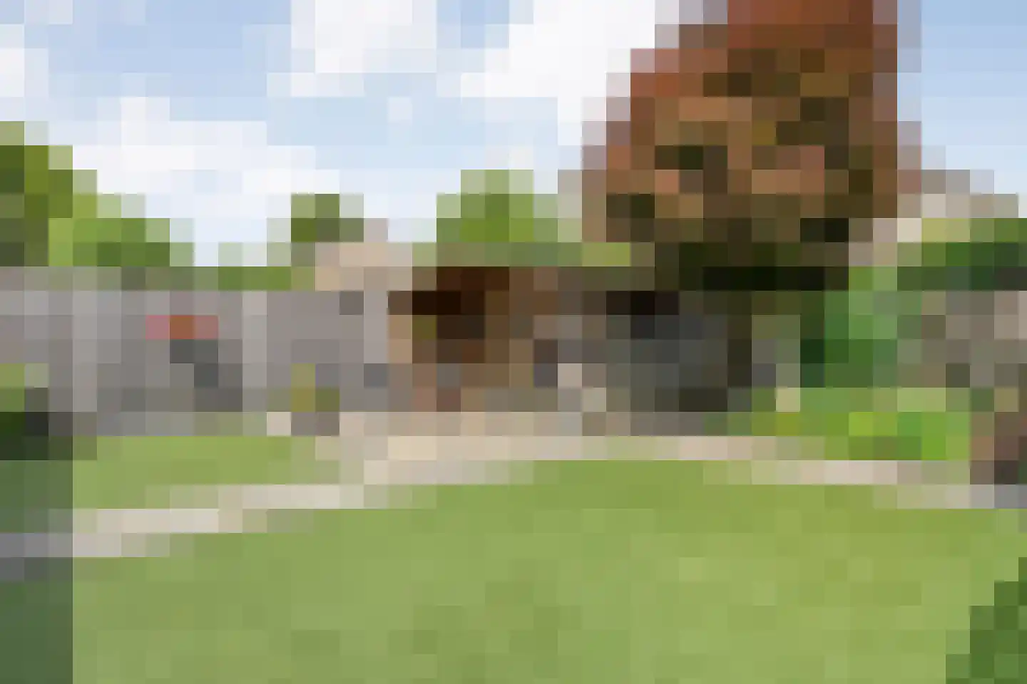 Zilverdistel 18 Hardenberg thumbnail 48