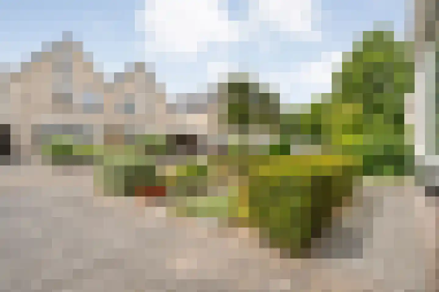 Zilverdistel 18 Hardenberg thumbnail 52