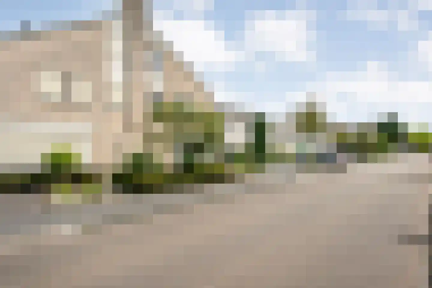 Zilverdistel 18 Hardenberg thumbnail 54