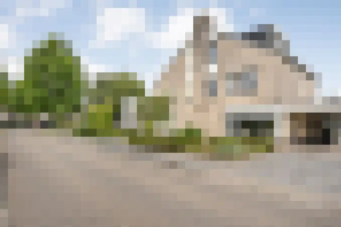 Zilverdistel 18 Hardenberg thumbnail 55