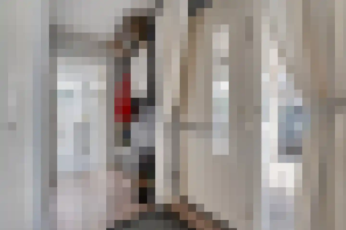Zilverdistel 18 Hardenberg thumbnail 6