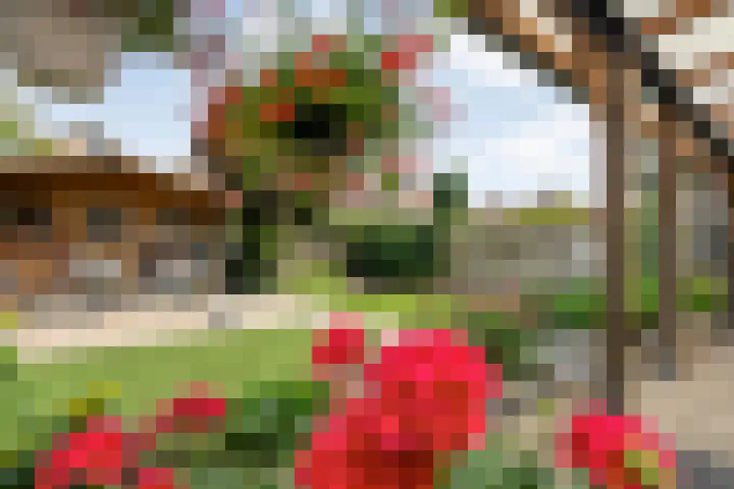 Zilverdistel 18 Hardenberg thumbnail 6