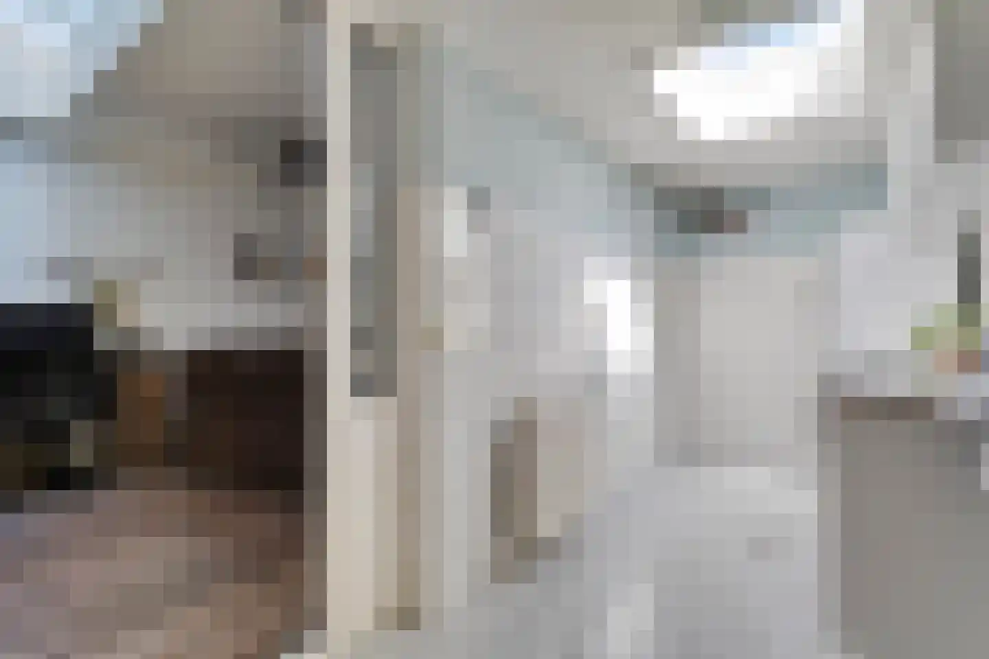 Zilverdistel 18 Hardenberg thumbnail 8
