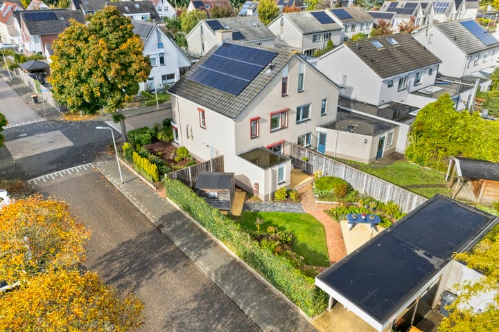 Zilverdistel 2 in Hardenberg Foto