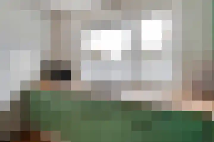 Zilverdistel 2 Hardenberg thumbnail 10