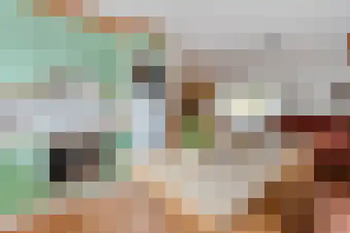 Zilverdistel 2 Hardenberg thumbnail 11