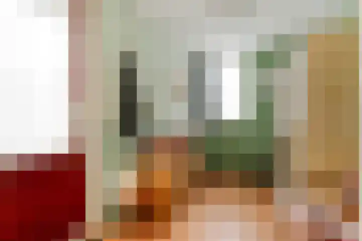 Zilverdistel 2 Hardenberg thumbnail 13