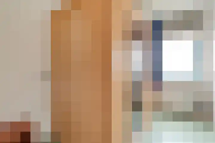 Zilverdistel 2 Hardenberg thumbnail 22