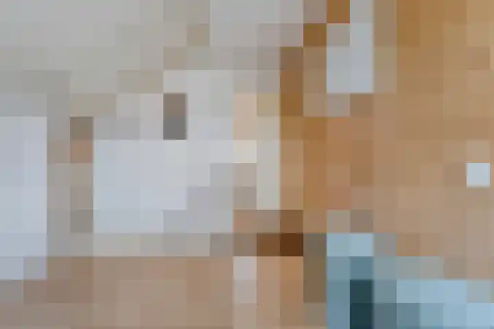 Zilverdistel 2 Hardenberg thumbnail 27