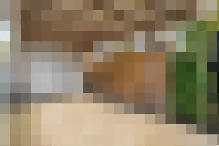 Zilverdistel 2 Hardenberg thumbnail 30