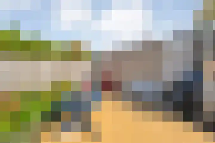 Zilverdistel 2 Hardenberg thumbnail 31