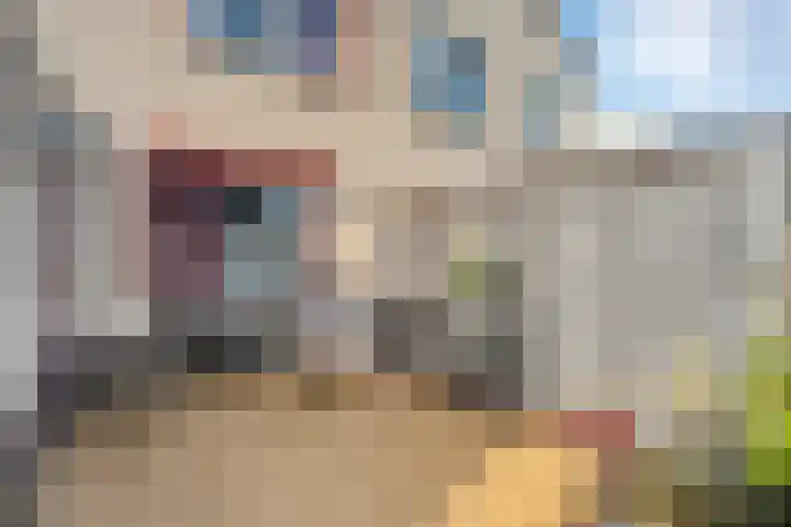 Zilverdistel 2 Hardenberg thumbnail 33