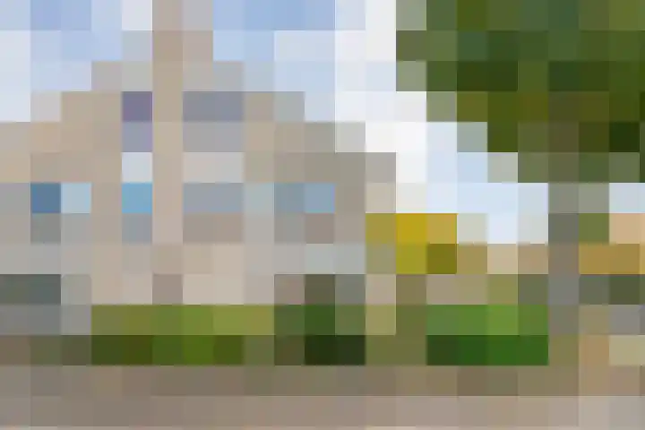 Zilverdistel 2 Hardenberg thumbnail 35