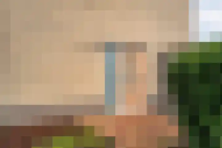 Zilverdistel 2 Hardenberg thumbnail 36
