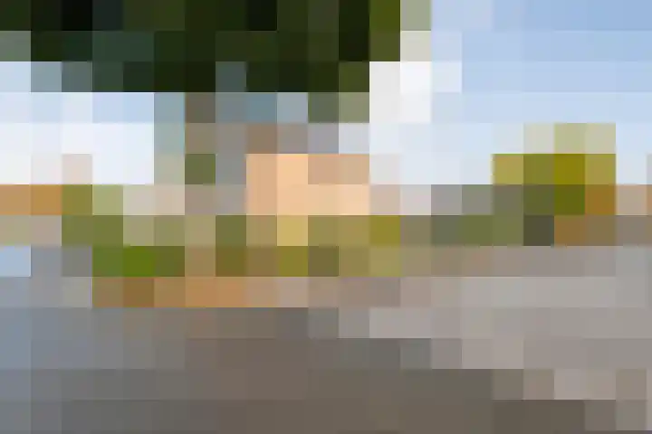 Zilverdistel 2 Hardenberg thumbnail 37