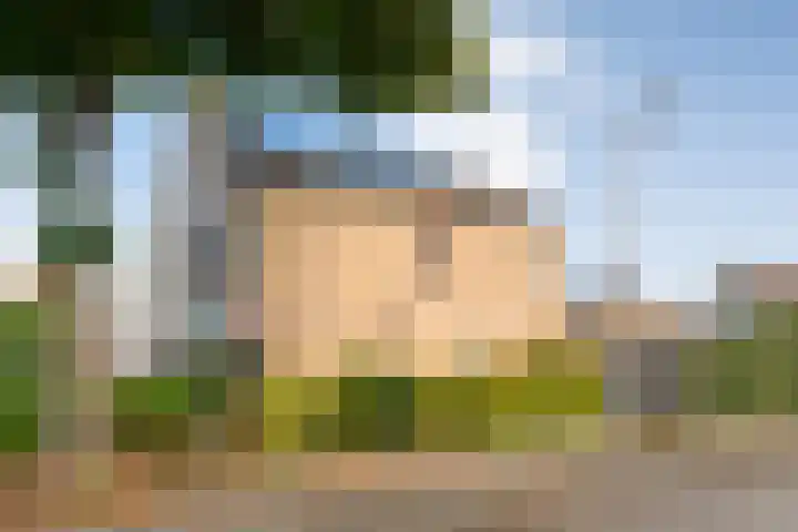 Zilverdistel 2 Hardenberg thumbnail 39