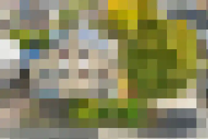 Zilverdistel 2 Hardenberg thumbnail 40