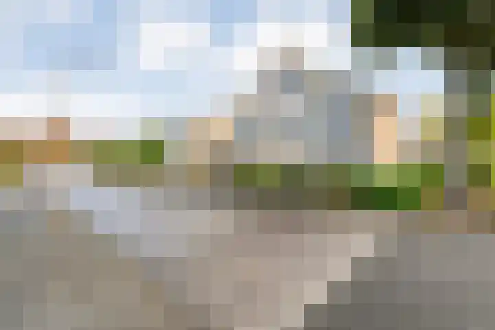 Zilverdistel 2 Hardenberg thumbnail 41
