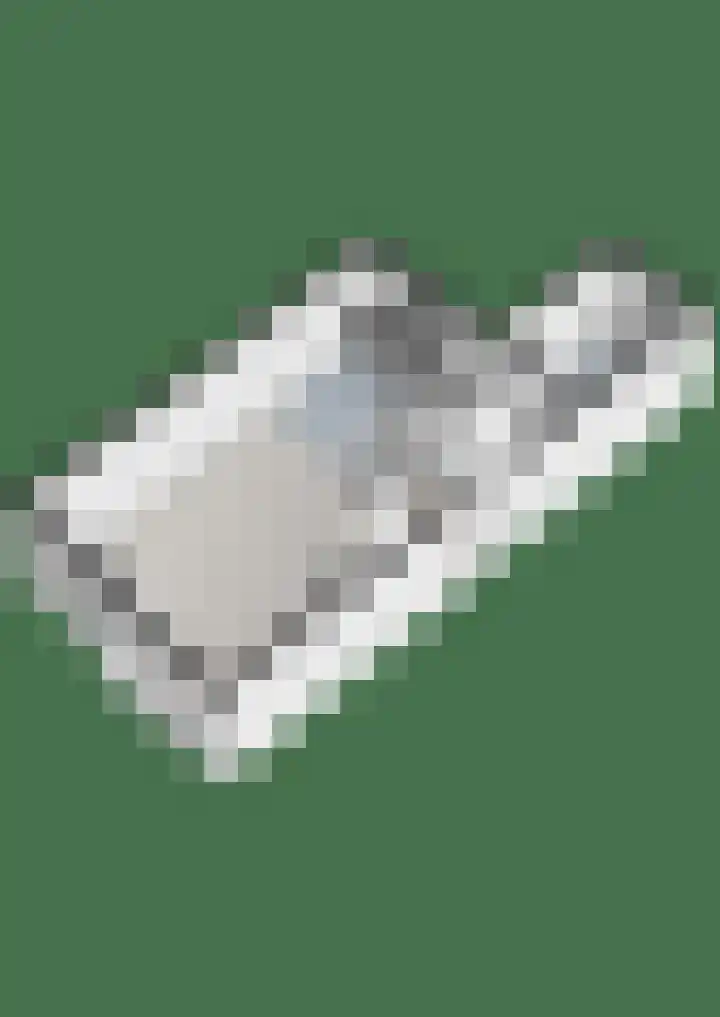 Zilverdistel 2 Hardenberg thumbnail 43