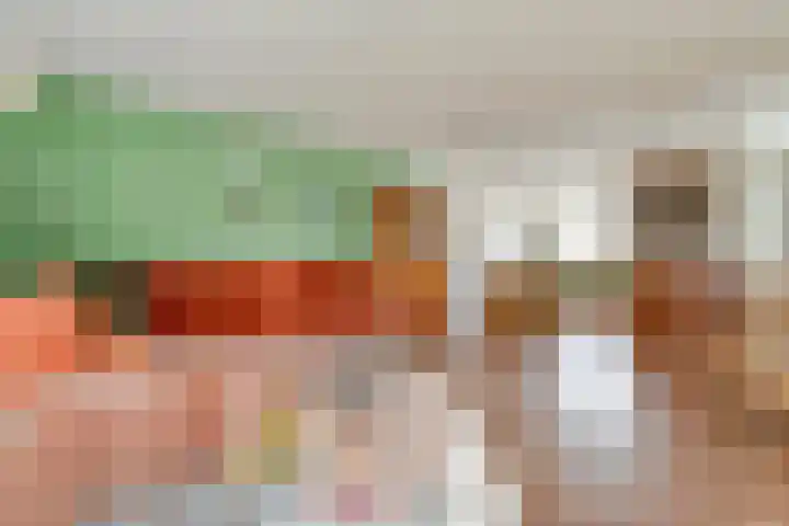 Zilverdistel 2 Hardenberg thumbnail 5