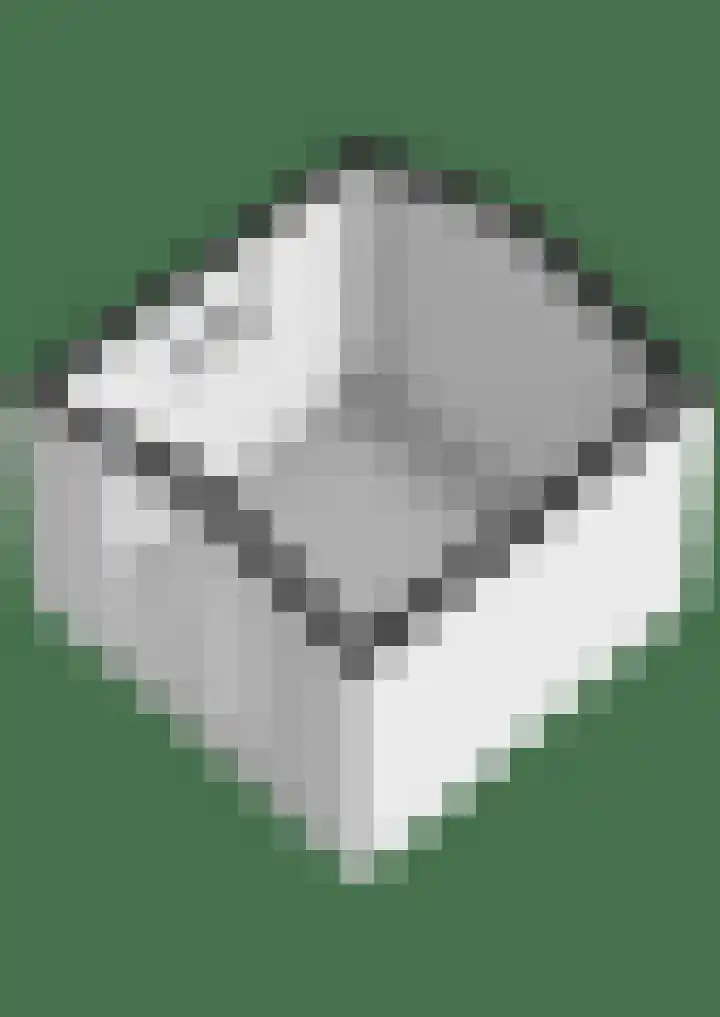 Zilverdistel 2 Hardenberg thumbnail 51