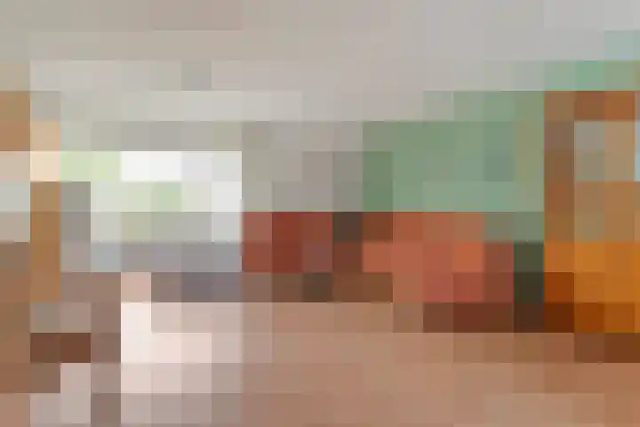 Zilverdistel 2 Hardenberg thumbnail 6