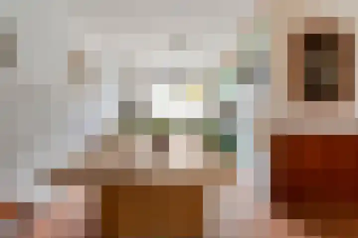 Zilverdistel 2 Hardenberg thumbnail 9