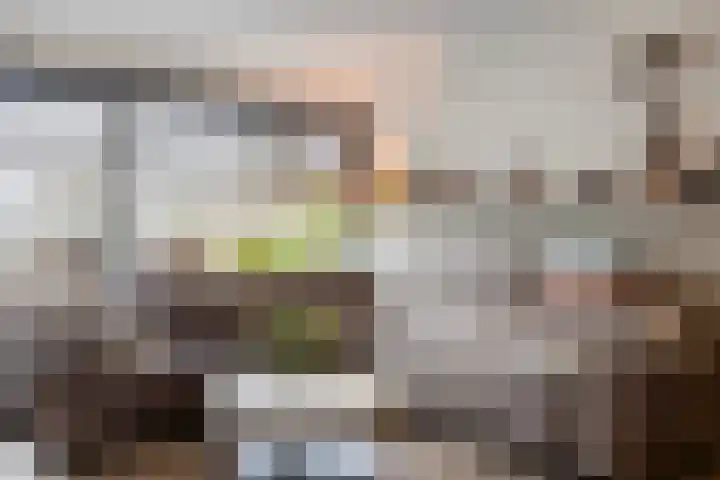 Zilverdistel 21 Rotterdam thumbnail 13
