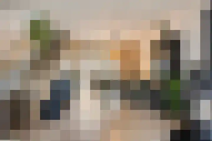 Zilverdistel 21 Rotterdam thumbnail 14