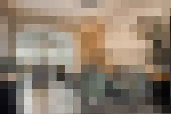 Zilverdistel 21 Rotterdam thumbnail 15