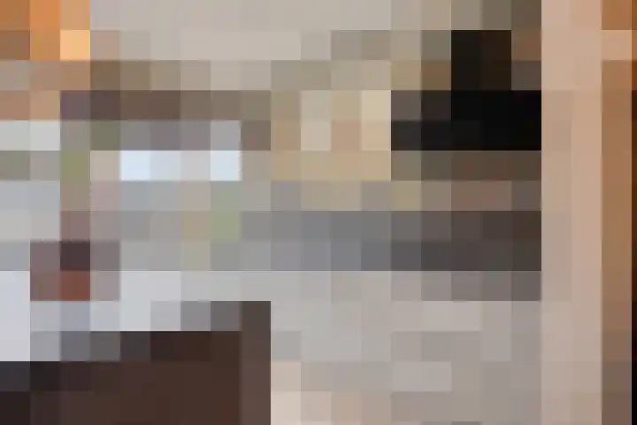 Zilverdistel 21 Rotterdam thumbnail 17