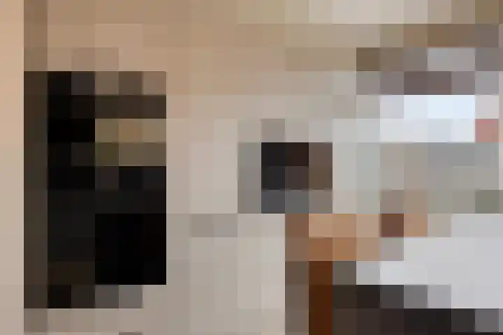 Zilverdistel 21 Rotterdam thumbnail 18