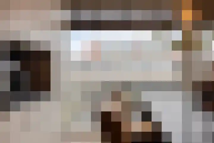 Zilverdistel 21 Rotterdam thumbnail 19