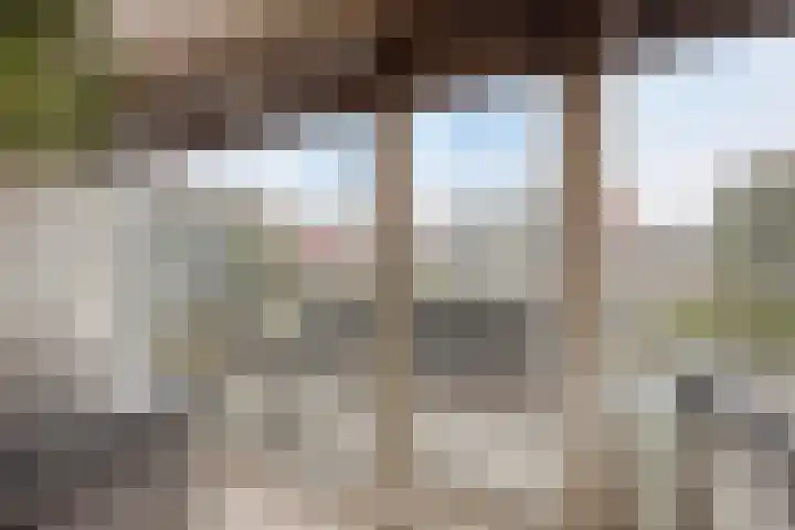 Zilverdistel 21 Rotterdam thumbnail 20
