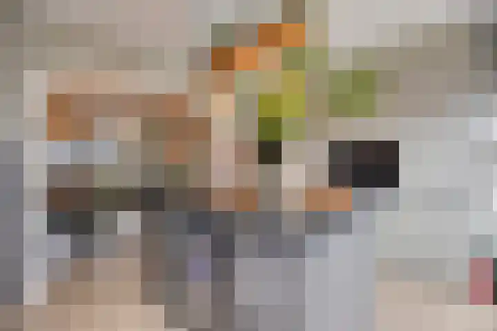 Zilverdistel 21 Rotterdam thumbnail 22