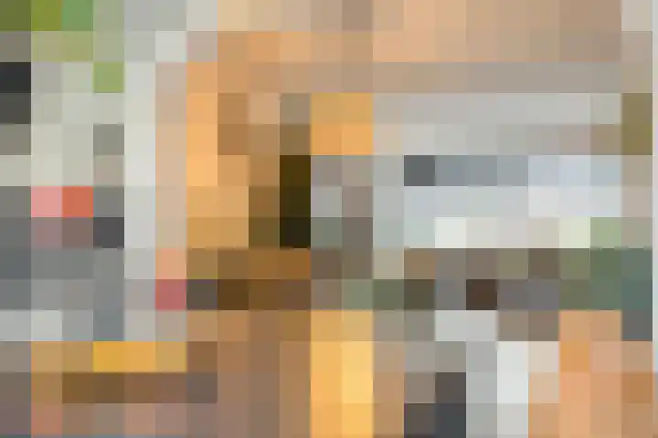 Zilverdistel 21 Rotterdam thumbnail 23