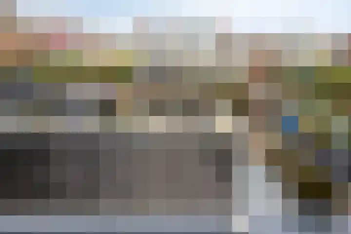 Zilverdistel 21 Rotterdam thumbnail 26
