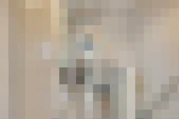 Zilverdistel 21 Rotterdam thumbnail 27