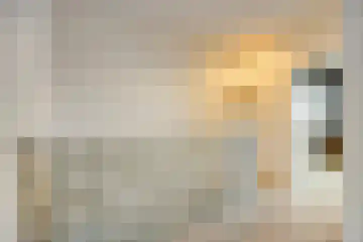 Zilverdistel 21 Rotterdam thumbnail 28