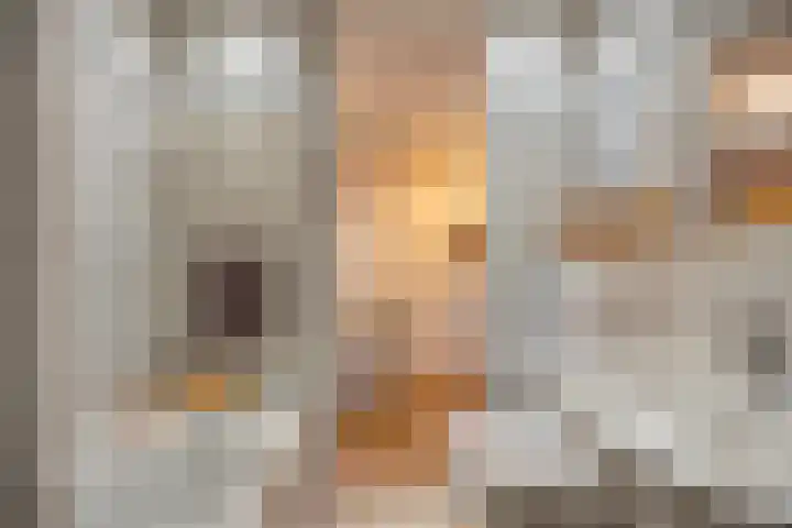 Zilverdistel 21 Rotterdam thumbnail 32